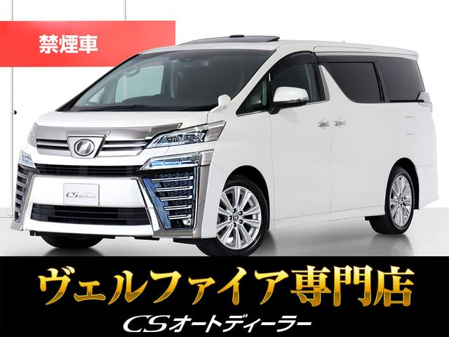 ȥ西 ե ڡǥ󡡡ʶر֡ˡʥ롼աˡʽʥӡˡʸʥ˥˥ȥ西եƥ󥹡ξ¦ưɥ