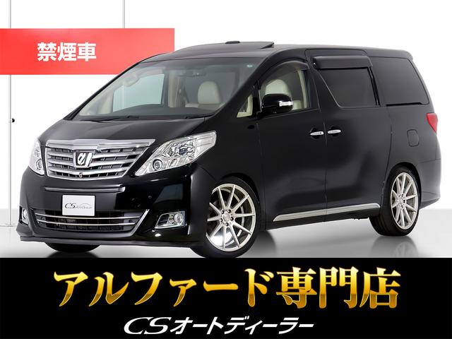 ȥ西 ե ǡץߥॷȥѥåʶر֡ˡʣףġˡϿˡʥ롼ա˥ץߥॵɡ١ܳ