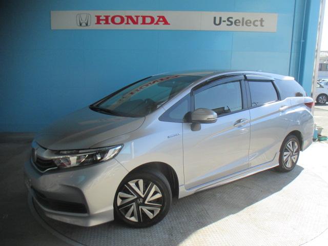 ۥ ȥ ϥ֥åɥۥ󥷥󥰡ѥʥ˥å꡼ʥӡꥢ顡ޡȥ