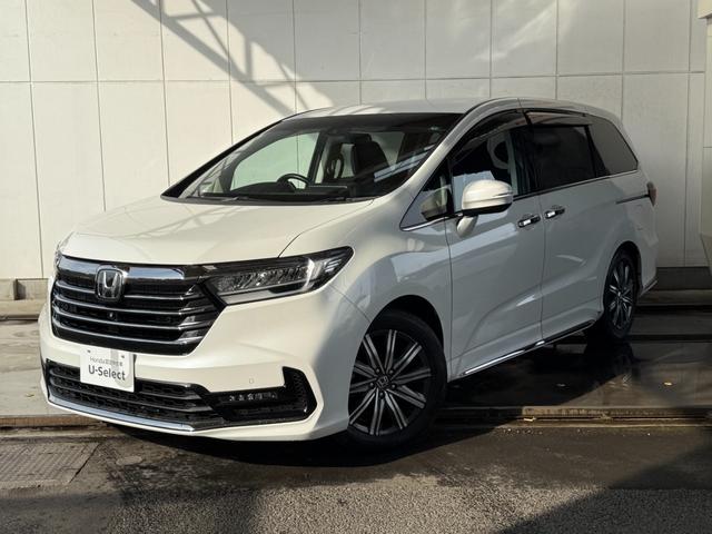 ۥ ǥå ֥롼ȡ󥪡ʡ꡼ʥӥ󡡥ե륻ԣ