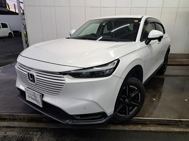 ۥ  ǡ꡼ʥӥ󡡽ɥ饤֥쥳ţԣüֺܴ