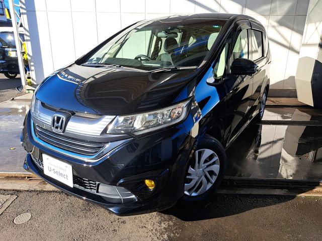 ե꡼ɡ ǡۥ󥷥󥰡꡼ʥӥ󡡥Хå 0540738A30251207W002 1