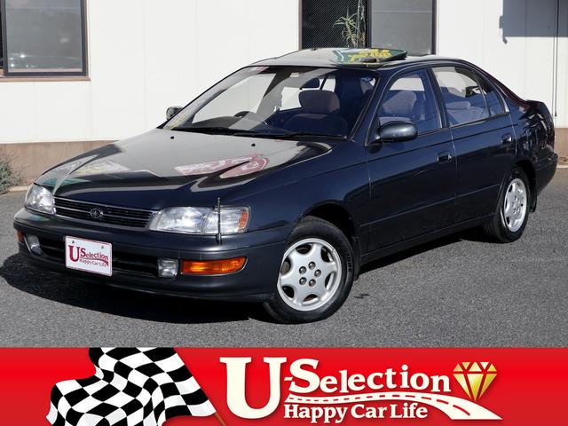 ˡʪ۵蘆ʿХС Ǿ饰졼ɣţإ롼ǡ롼դ˥쥹ʤɥץ¿ 1