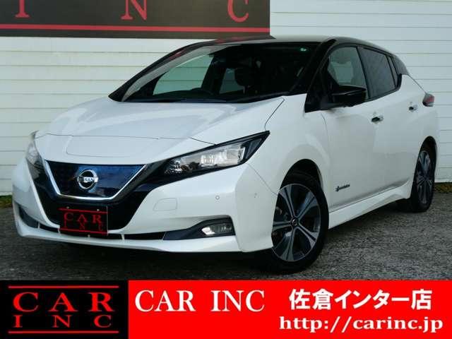 リーフ(日産) Ｇ　プロパイロット　ＢＯＳＥサウンド　ＥＴＣ　レーダークルコン　衝突軽減　Ｐアシスト　レーンアシスト　コーナーセンサー　全方位カメラ　Ｂカメラ　ステリモ　デジタルミラー　シートヒーター　純正ＳＤナビ 中古車画像