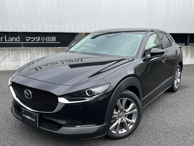 ޥĥ ãءݣ أġ̥ѥåɥ饤֥쥳ţԣ