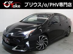 �ȥ西���ץꥦ�����������ʥե륨���������ʣ�����������ס����ʥ�����