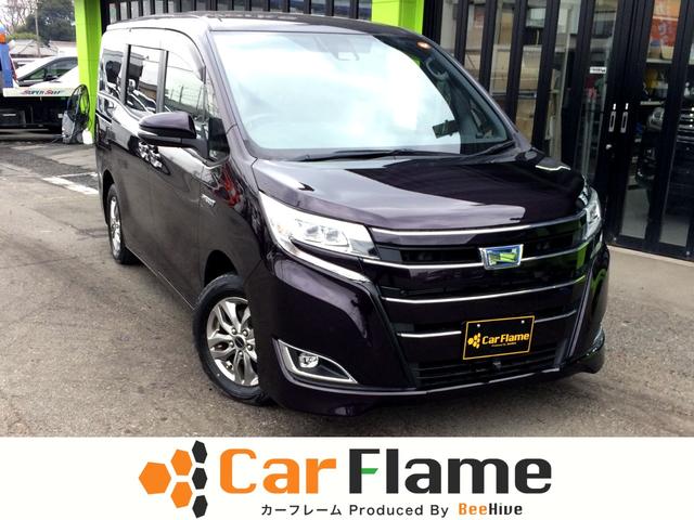 ȥ西 Υ ϥ֥åɣǡʥӡեåץ˥Хå