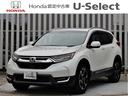ホンダ ＣＲ－Ｖ ＥＸ・マスターピース　純正８インチナビ・サンル...