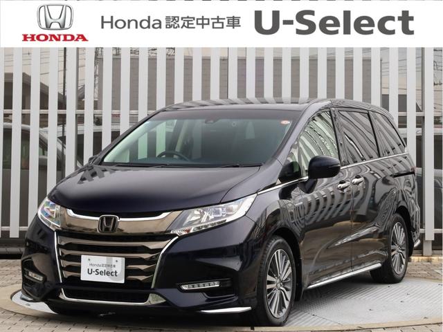 ۥ ǥåϥ֥å ϥ֥åɥ֥롼ȡۥ󥷥󥰡ʥӡţԣ