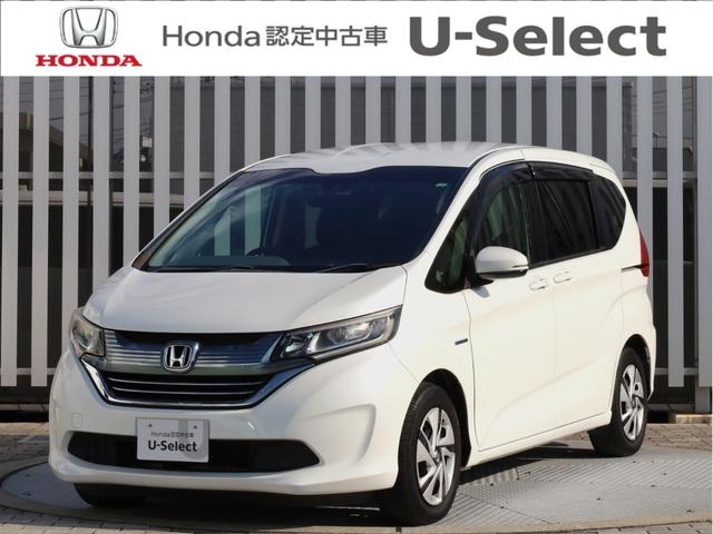 ե꡼ɥϥ֥å ϥ֥åɡǥۥ󥷥󥰡ʥӡɥ쥳¦ 0541194A30251129W002 1