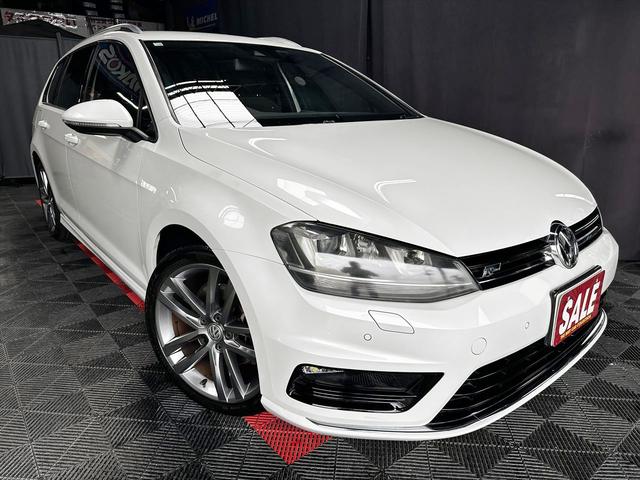 ե륯 եꥢ ҥ饤֥롼⡼ƥΥҥ饤ѥȡʥӡХå