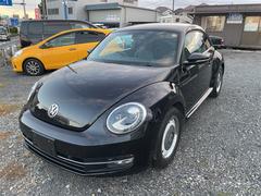 ե륯󡡥ӡȥ롡ǥ쥶ѥå󥪡ʡرָ֡ǯꥢ󥹥ʡ