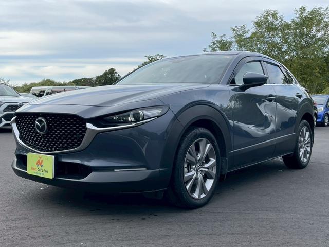 bw|RO(}c_) QOr@vANeBu@c[OZNV@[J[ir@tZO@S̓j^[@p[V[g@V[gq[^[@gtc@arl@X}[gu[L@[_[N[Y@p[LOZT[@p[obNhA@kdcwbhCg@I[i[ Îԉ摜