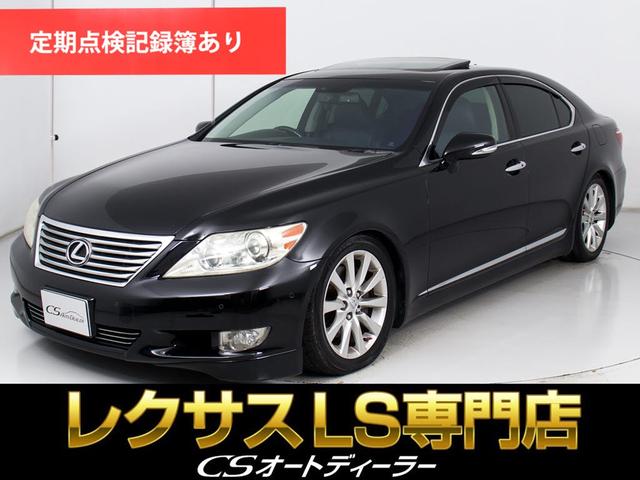 ֣ãӥǥ顼ǧ֡׺Ĺǯбݾڴ ȥŸͤ̿ؼξãӥȥǥ顼żŹ 1