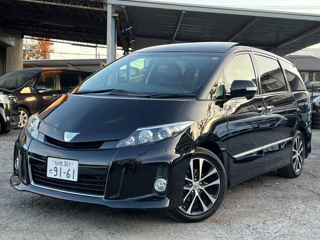 ȥ西 ƥ 饹ץߥ२ǥ󡡥Хå顡ʥ