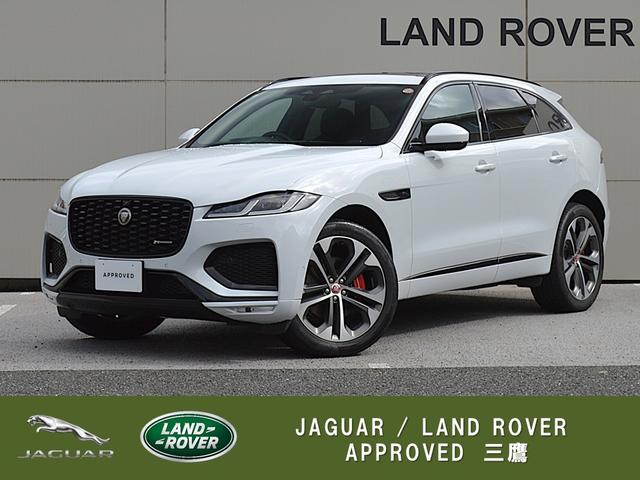 㥬 ƥڥ ҡݥʥߥåӣšģ饤ǥ󥰥ѥΥߥå롼