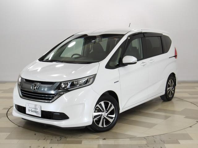 ۥ ե꡼ɥϥ֥å ϥ֥åɡţءۥ󥷥󥰡ʥ