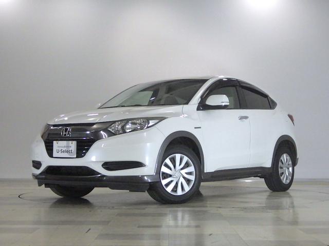 ۥ  ϥ֥åɡر֡¿ѥå꡼ʥ