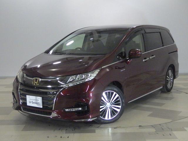 ۥ ǥåϥ֥å ϥ֥åɥ֥롼ȡۥ󥷥󥰡꡼ʥӡꥢ