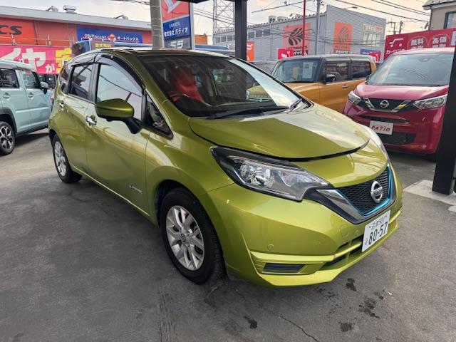 ͷڸ졼󥭡ס㳲ʪ󥵡ʥ ŹˤϤäޤϤ䤤碌ˤƤͽ򤪴ꤤפޤ 1