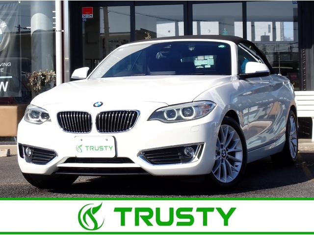 £ͣ ꡼ 饫֥ꥪ졡饰奢꡼ưץ󡡥ߥ󥿥䣶ʬ