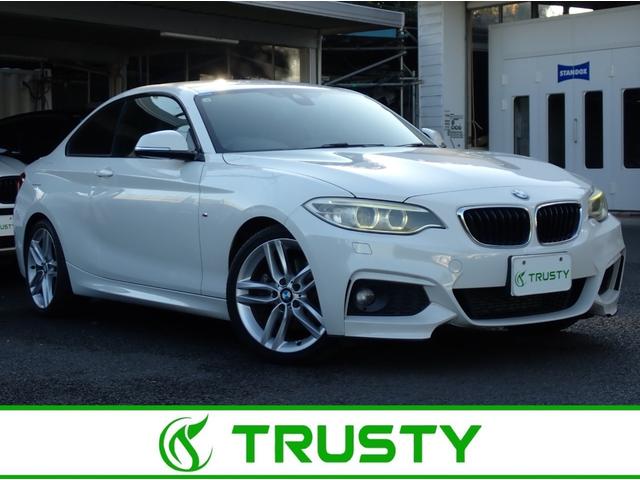 £ͣ ꡼ 饯ڡͥݡġե륨ϣУ