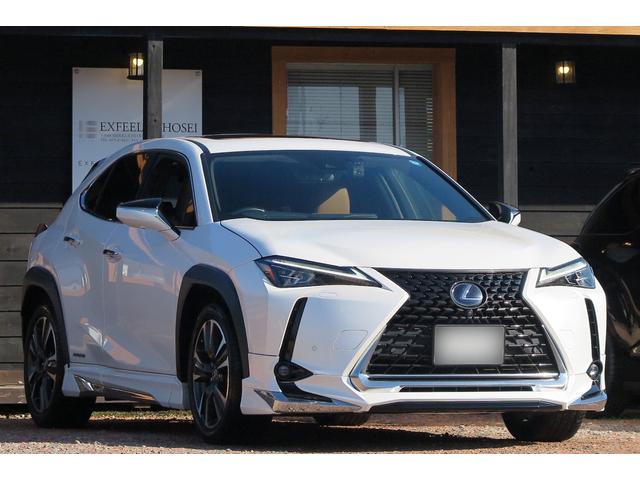 쥯 գ գأ衡С̡쥶ʥ