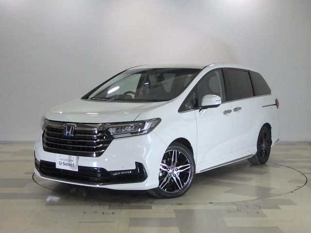 ۥ ǥåϥ֥å 塧ȣţ֥֥롼ȡţءر֡緿ʥ