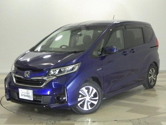 ۥ ե꡼ɥϥ֥å ϥ֥åɡţءر죱ʡǥ塼Х