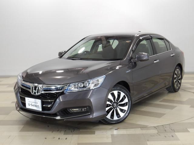 ۥ ɥϥ֥å ̣ءر죱ʡʥӡꥢ