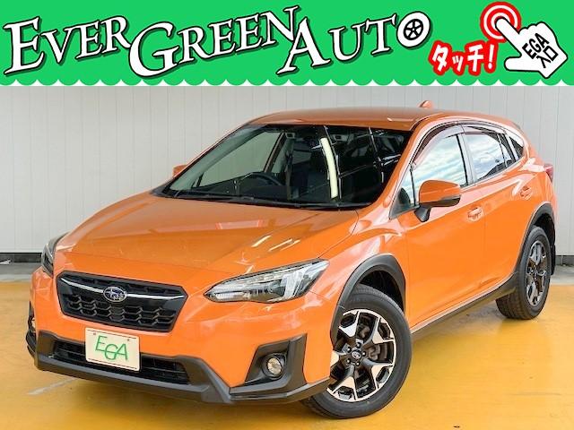 ߸ˣ桪С꡼󥪡Ȥ⳰꡼˥󥰺ѤߤǤ 1