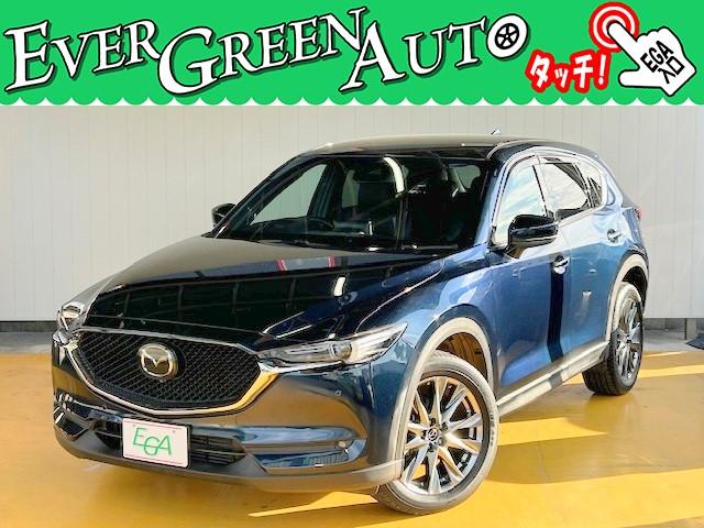 総在庫５５０台！エバーグリーンオートは全車内外装クリーニング済みです！！