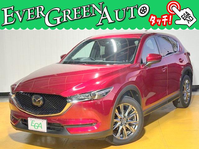 総在庫５５０台！エバーグリーンオートは全車内外装クリーニング済みです！！