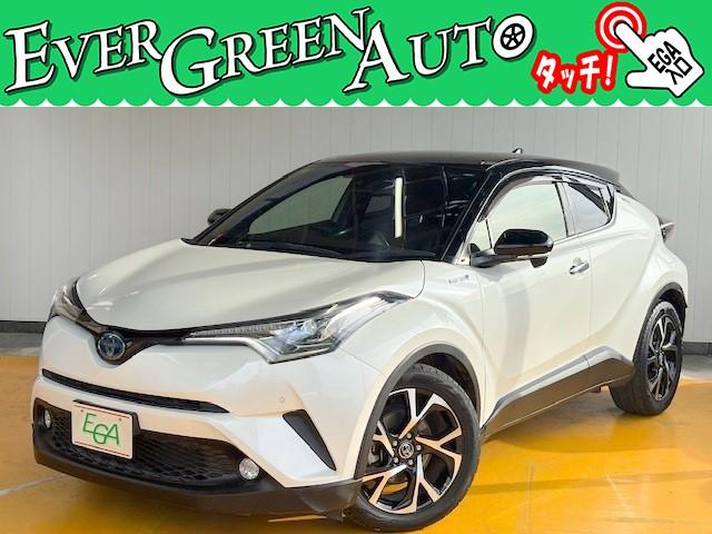 ߸ˣ桪С꡼󥪡Ȥ⳰꡼˥󥰺ѤߤǤ 1