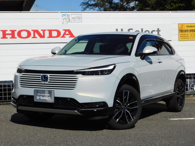 ۥ  塧ȣţ֣ڡ̡֡ưХåɥ