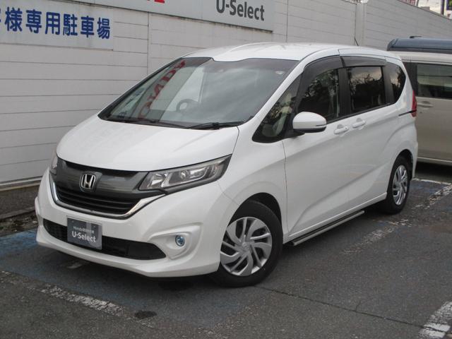 ե꡼ ǡۥ󥷥󥰡åѥåʥ 0560123A30251113W005 1