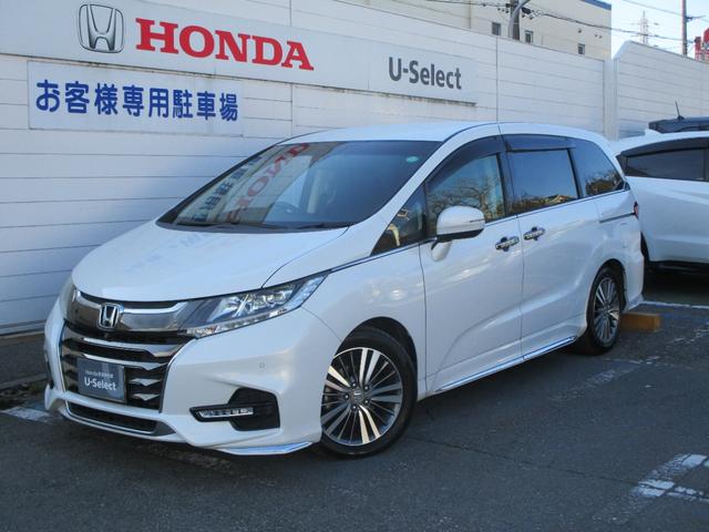 ۥ ǥå ֥롼ȡţإۥ󥷥󥰡եåץ˥ʥ