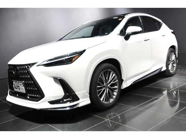 쥯 Σ ΣأС̡󥪡ʡǥꥹѡ