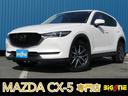 carPhoto