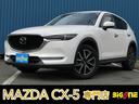 carPhoto