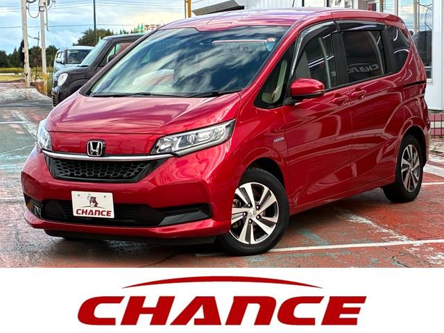 ۥ ե꡼ɥϥ֥å ϥ֥åɡǥۥ󥷥󥰡꡼ʥӡã