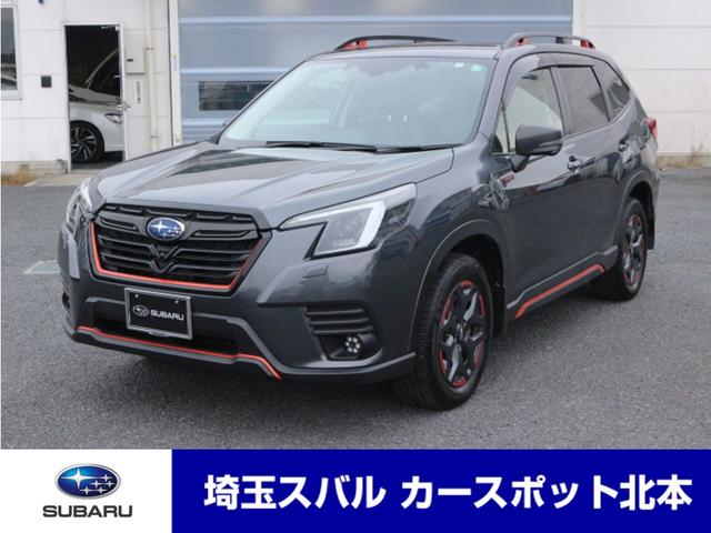 Х ե쥹 ءݥ֥쥤եƥܡʥӡҥ