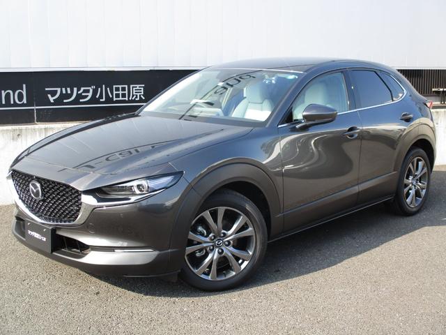 マツダ cx 30 x lパッケージ awd ナビ 360度モニター etc 車線逸脱 319 0万円 令和2年 年 神奈川県 中古車 価格 Com マツダ cx 30 x lパッケージ awd ナビ 360度モニター etc 車線逸脱 319 0万円 令和2年 年 神奈川県 中古車 価格 Com