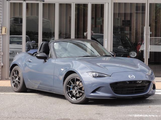 ポリメタルグレーメタリック ブレンボキャリパー 純正レイズ 青幌 前後ドラレコ