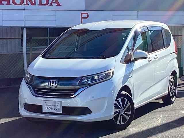 ե꡼ɥϥ֥å ϥ֥åɡǥۥ󥷥󥰡㥶꡼ʥӡף 0561081A30251128W001 1