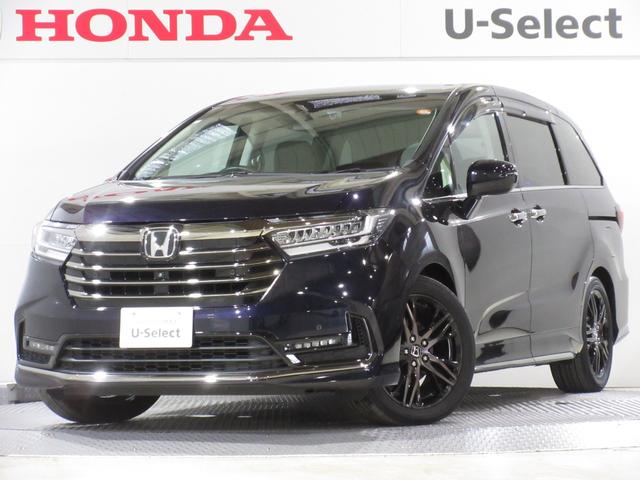 ۥ ǥå ֥롼ȡţء꡼ʥӥɥ쥳ţԣãҥ󥪡ʡѡ󥰥ݡ