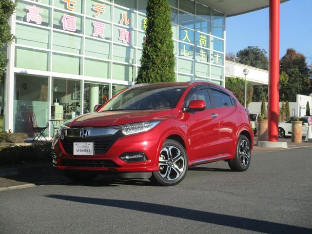 ۥ  ϥ֥åɣڡۥ󥷥󥰡Хå顡ţԣ