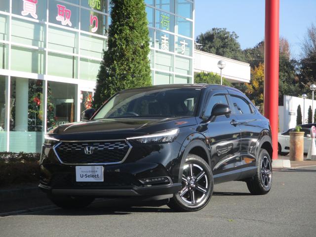 ۥ  ǡХå顡ţԣáﳲڸ֥졼