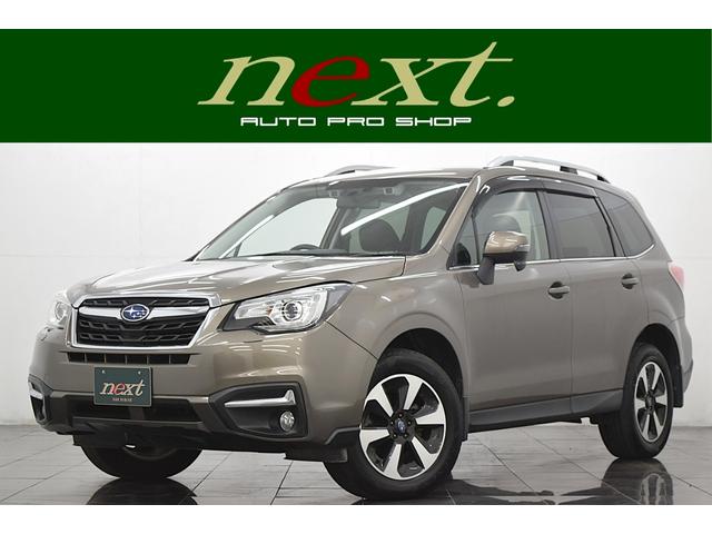 ǯե볫桪 ȥɥŹ׺Ŭ󿳺ꡪ 1