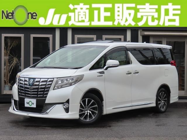 䤹ƻϩǤ⣴ףĤʤ¿ ޡȥɥ󥰥ȥåסưǼߥ顼ȥҡã 1